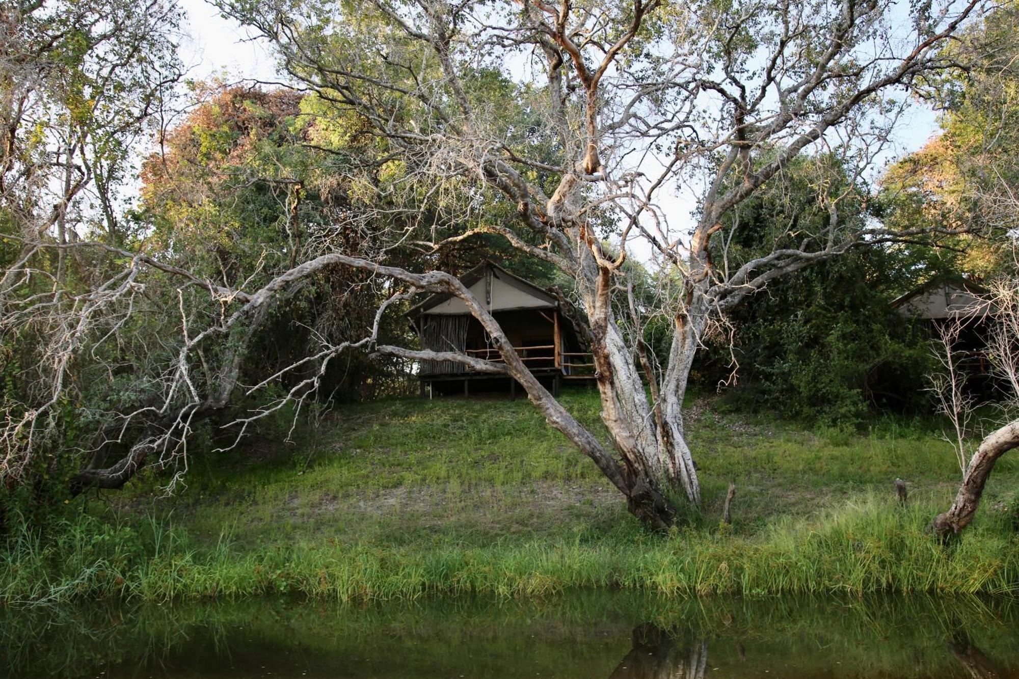 הוילה ליבינגסטון Zambezi Dusk מראה חיצוני תמונה